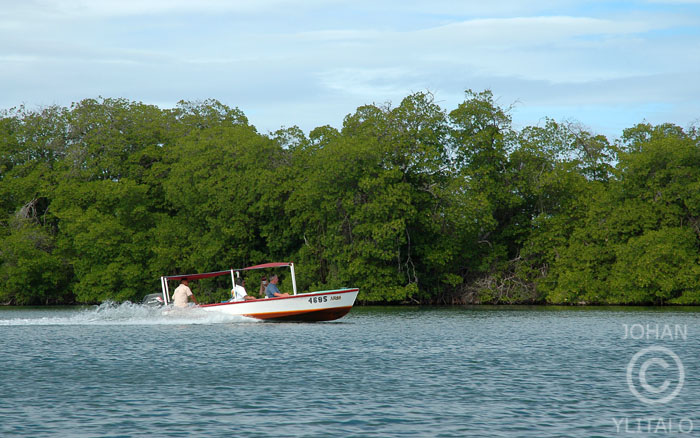 Isla de Margarita (54).jpg